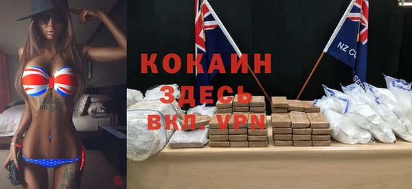 ПСИЛОЦИБИНОВЫЕ ГРИБЫ Вяземский