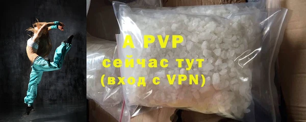 ПСИЛОЦИБИНОВЫЕ ГРИБЫ Вяземский