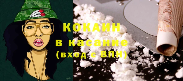 ПСИЛОЦИБИНОВЫЕ ГРИБЫ Вяземский