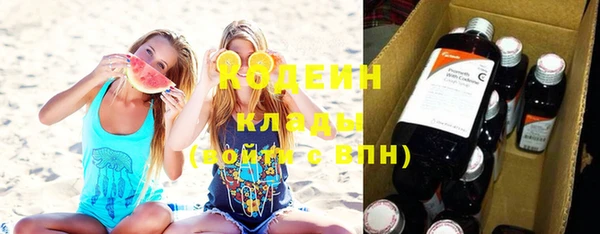 ПСИЛОЦИБИНОВЫЕ ГРИБЫ Вяземский